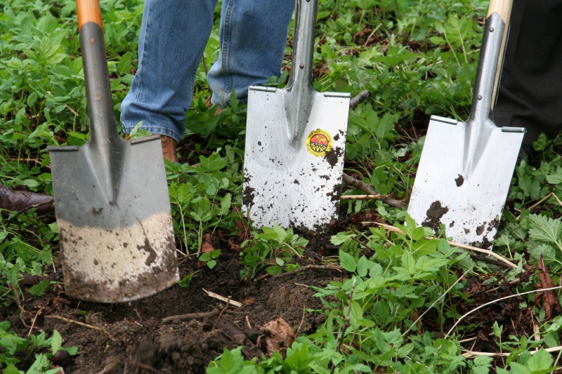 pepiniere-LES ARCS-min_work-lawn-flower-tool-green-backyard-1103633-pxhere.com